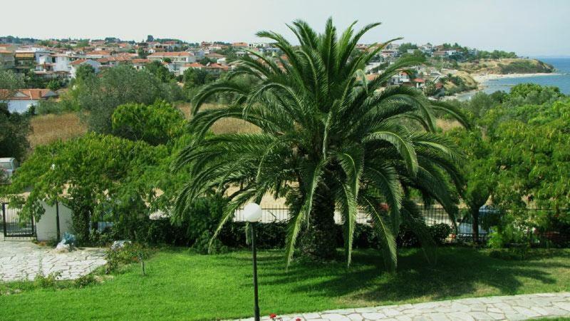 Villa Madeleine Tower View Nea Fokea Exterior foto